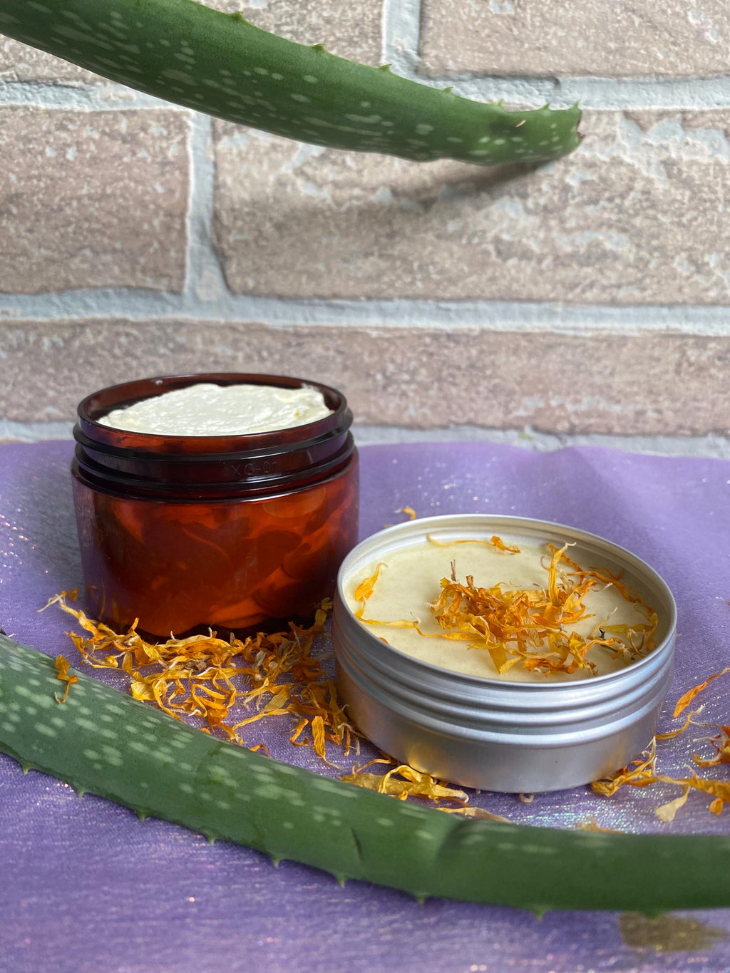 Calendula Aloe Vera Salve